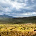 TZA ARU Ngorongoro 2016DEC25 005 : 2016, 2016 - African Adventures, Africa, Arusha, Date, December, Eastern, Month, Ngorongoro, Places, Tanzania, Trips, Year